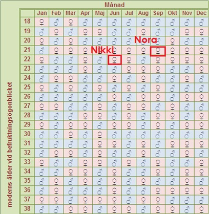 Kinesiska graviditetskalendern del 2 | Tindrali